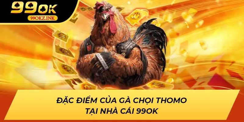 Đặc điểm của gà chọi Thomo tại nhà cái 99OK